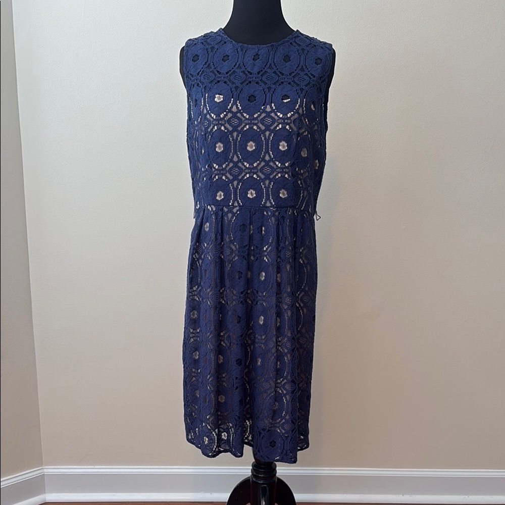 Elegant Navy Lace Dress